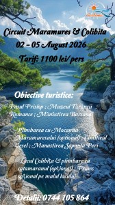 Pastel Blue Water Digital Display (916)