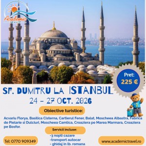 White Professional Istanbul Instagram Post