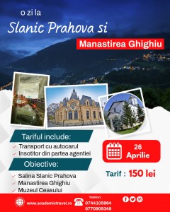 White Professional Kerala Travel Agent Flyer Template Instagram Portrait